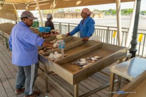 A photo of Men Selling Fish at the Fish Market