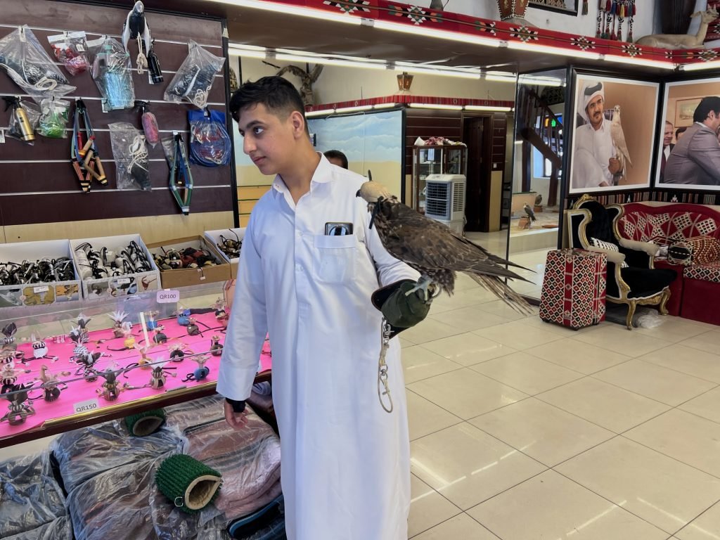 A photo of the inside one of the falcon shops in Souq Waqif