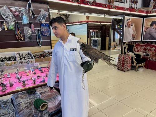 A photo of the inside one of the falcon shops in Souq Waqif